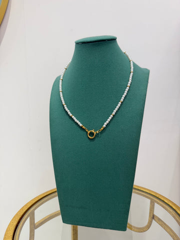 Collana Base Color