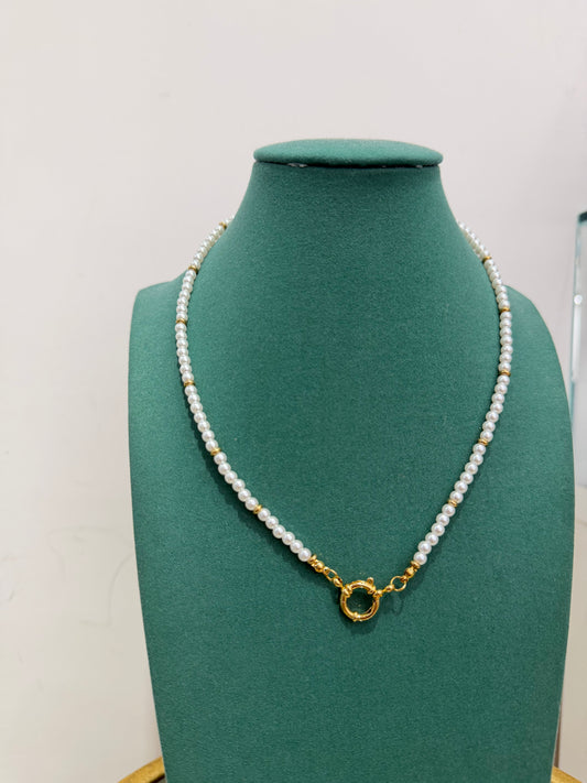 Collana Base Color